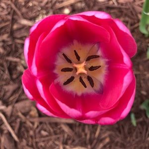 Meet your Posher, Heidi